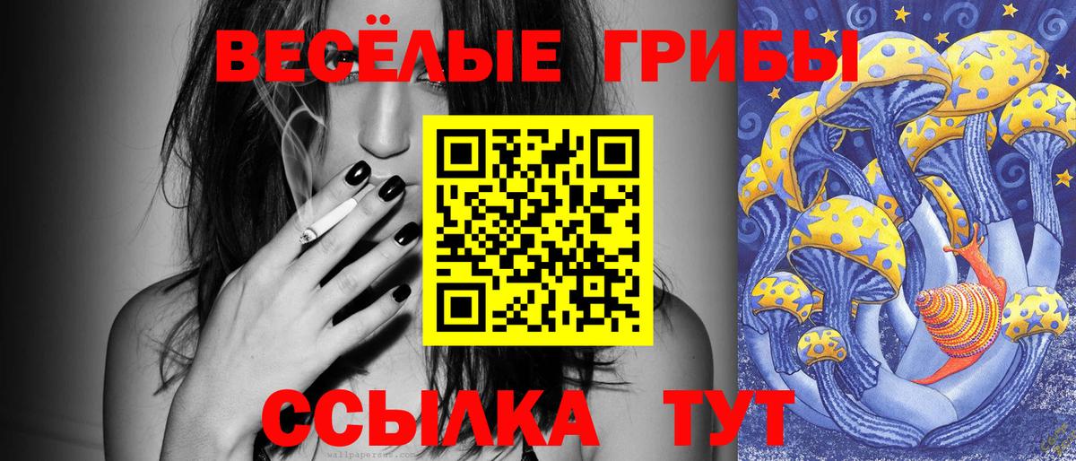 Псилоцибиновые грибы прущие грибы  магазин    Тихорецк  Вход с VPN  Галлюциногенные грибы мухоморы 